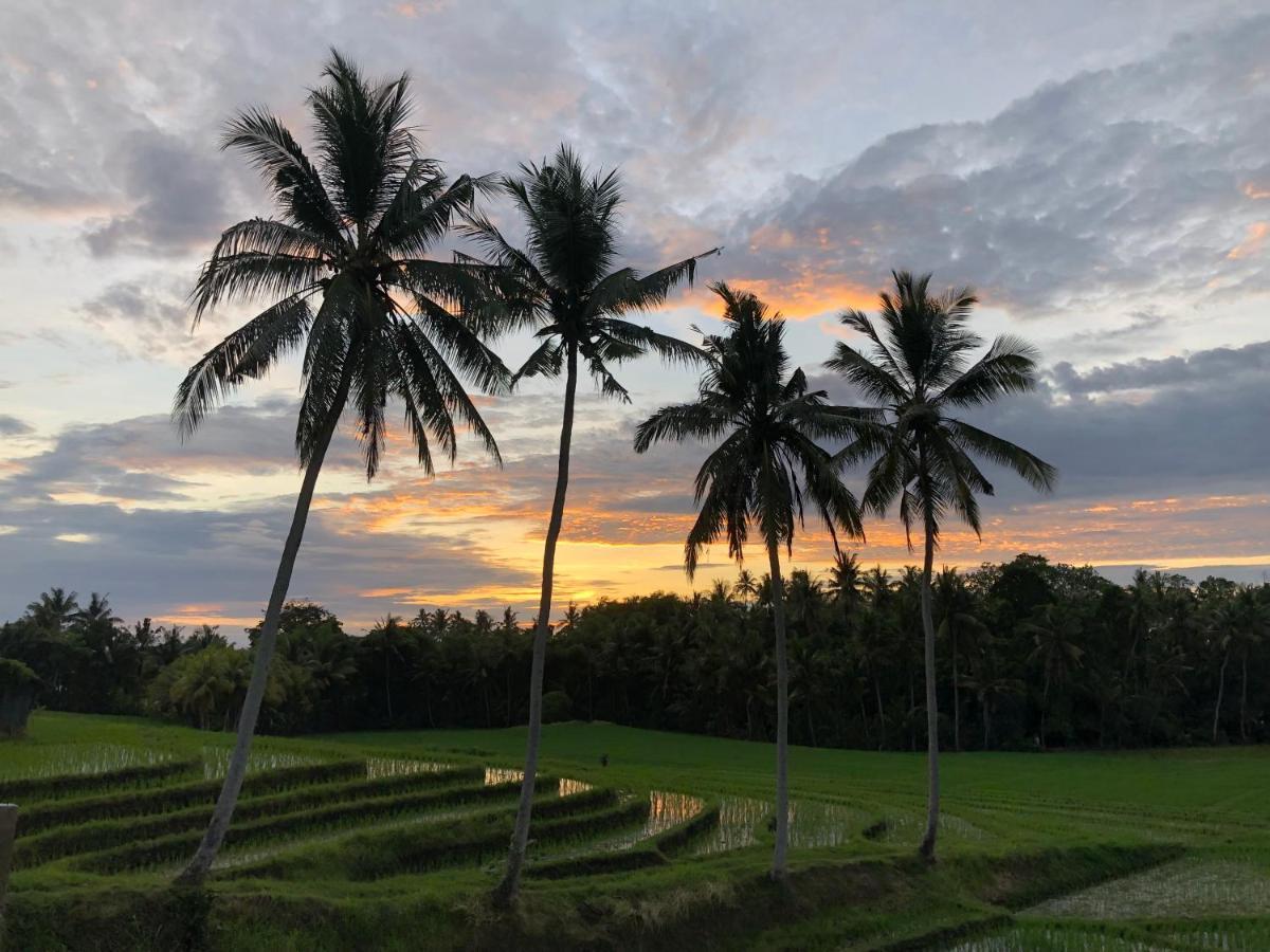 Coco Verde Bali Resort Tanah Lot Zewnętrze zdjęcie