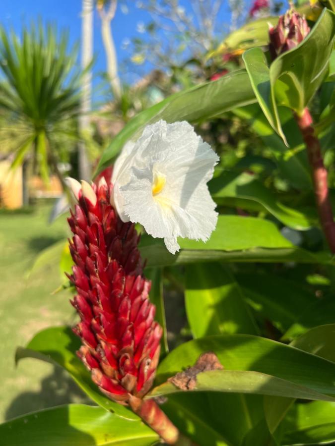 Coco Verde Bali Resort Tanah Lot Zewnętrze zdjęcie